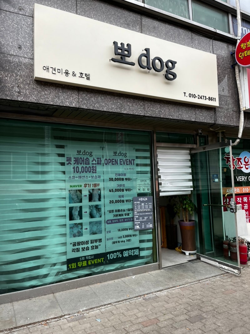 사진 4
