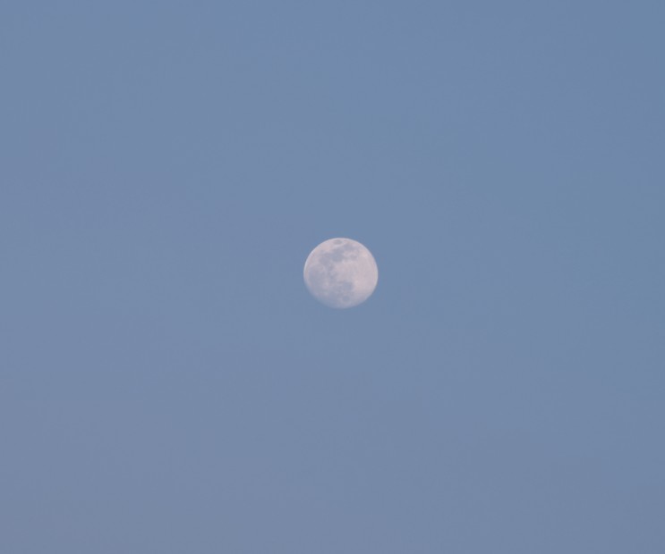 니콘Z5 미러리스 카메라로 찍은 달 사진