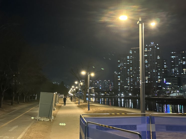  정리정돈이 Plㄹ요한 게으름제이 1일 1포스팅도 깨버린 우당탕탕 일상