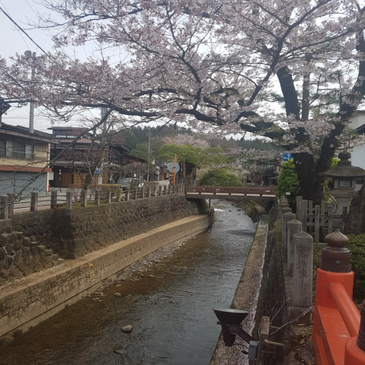  [2018.04] 일본 주부 나고야 여행기(2) 다카야마 여행, 워킹투어, 당일치기, 전통거리, 히다규스시, 히다규호빵, 미야가와 아침시장)