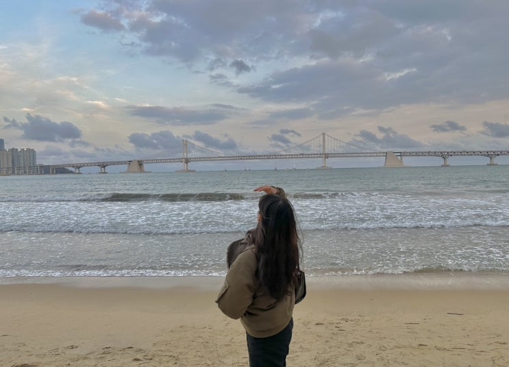  순삭 당한 2월 일기