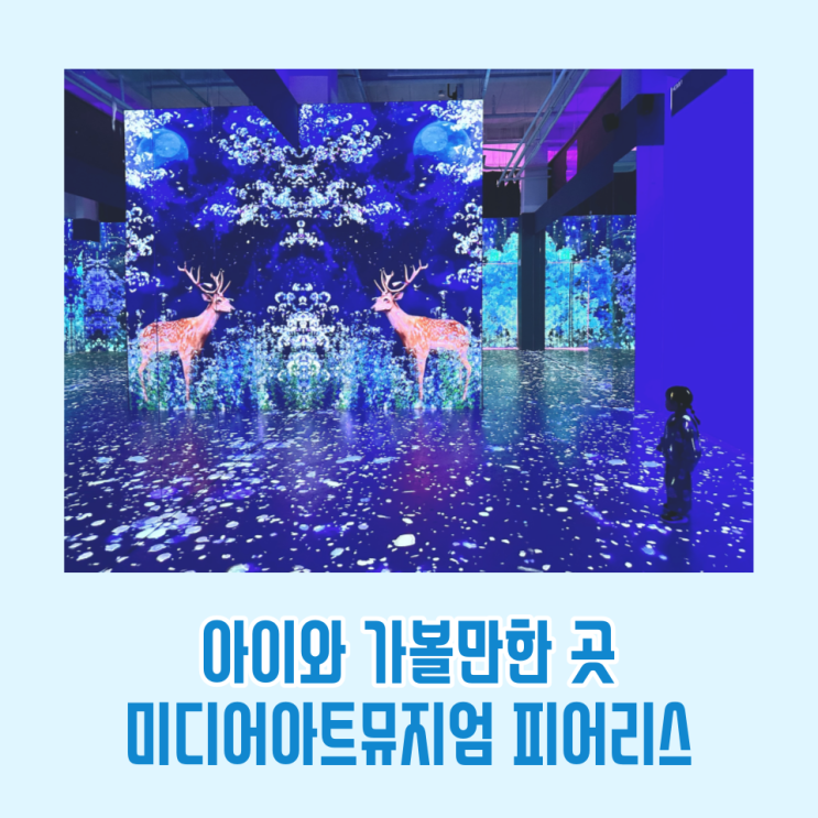 진주 피어리스 미디어아트 전시 뮤지엄 아이와 가볼만한 곳