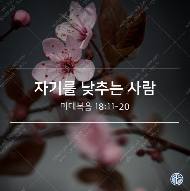  자기를 낮추는 사람 / 마 18:11-20
