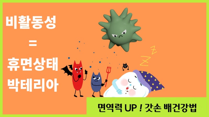 비활동성 폐결핵, 활동성으로 발전하지 않으려면?