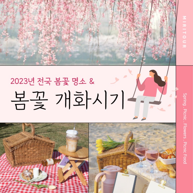 2023년 전국 봄꽃, 벚꽃 개화 (만개) 시기, 지도 총 정리, feat.개나리,진달래
