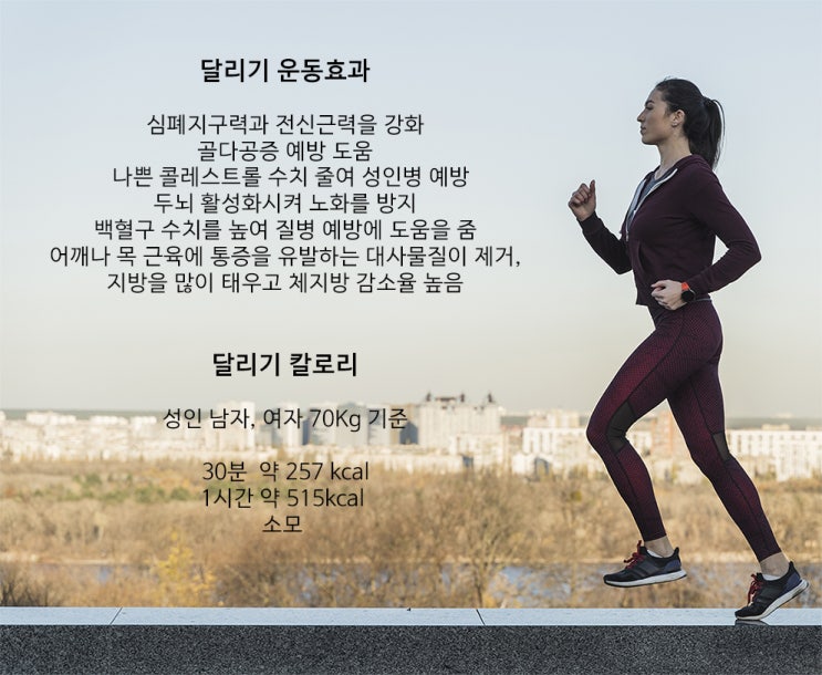  달리기 운동효과