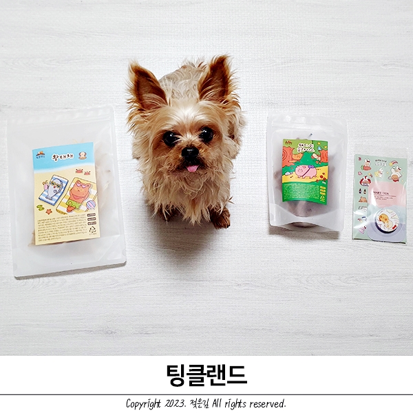 팅클랜드 강아지간식 황태채 돼지귀 후기 팅클랜드 강아지간식 황태채 돼지귀 후기