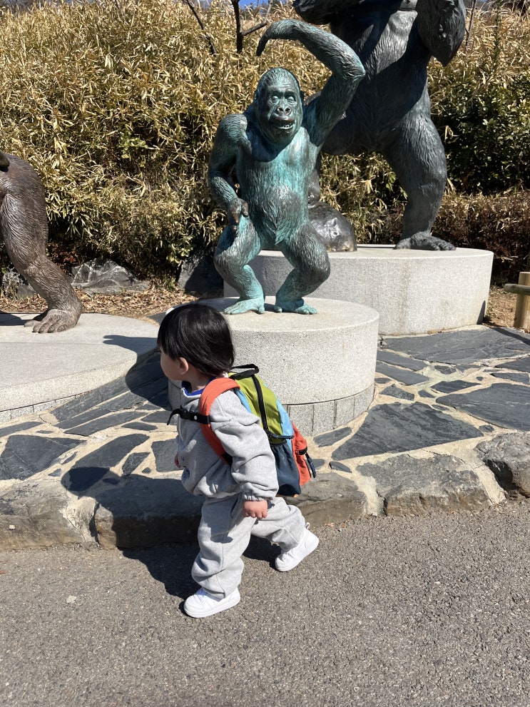 18개월 아기랑 엄마랑 서울대공원 동물원 나들이