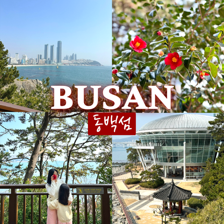  동백섬 동백꽃 개화시기 3월 부산 산책하기 좋은곳