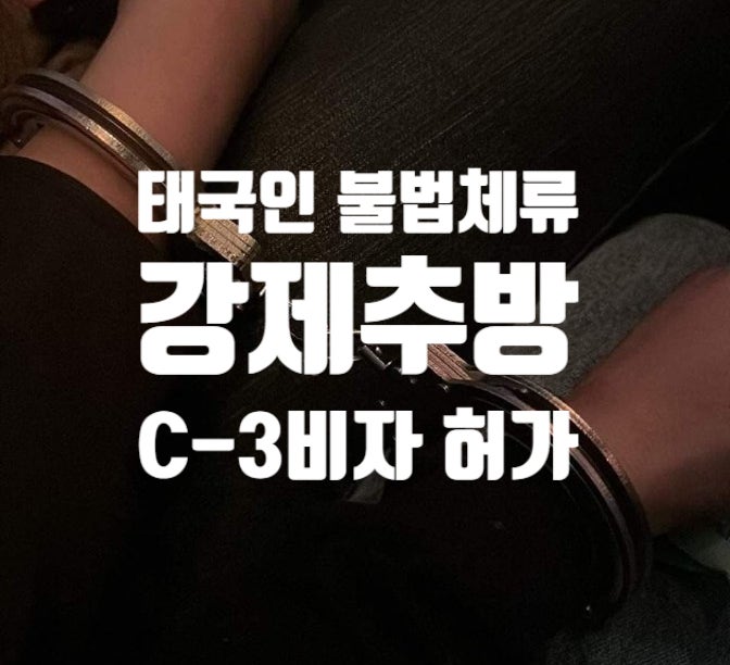 태국여자_불법체류자_경찰단속_강제추방_C3비자_허가_입국규제해제_재입국 태국여자_불법체류자_경찰단속_강제추방_C3비자_허가_입국규제해제_재입국
