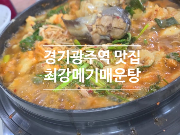  경기광주역 근처 맛집 최강 메기매운탕 내 생일 부모님 몸보신 후기