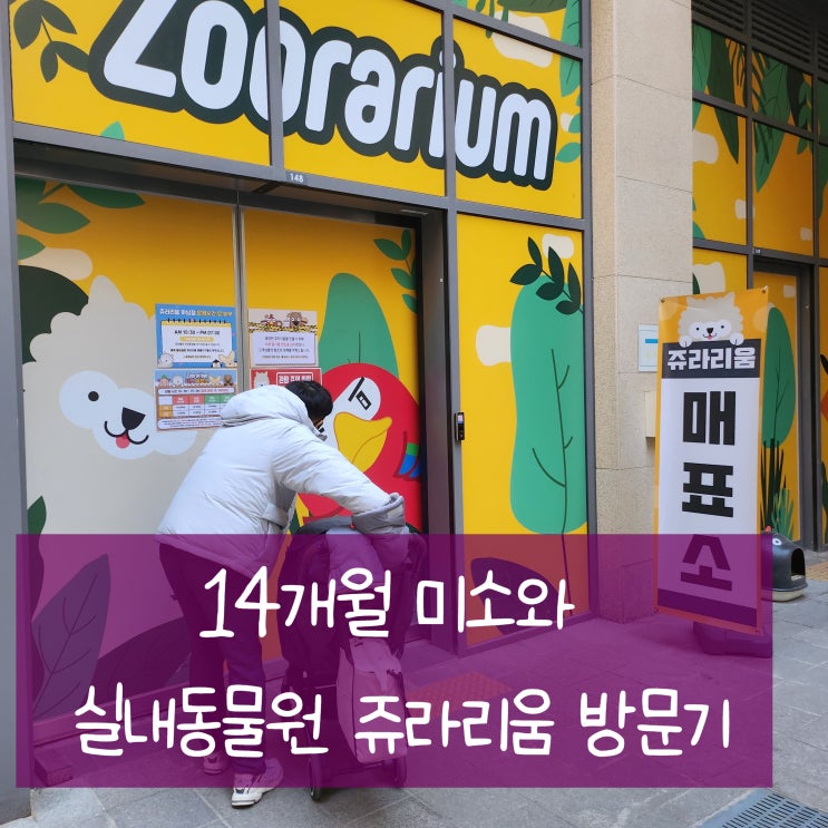  미소와 함께 다녀온 실내 동물원 나들이, 쥬라리움!