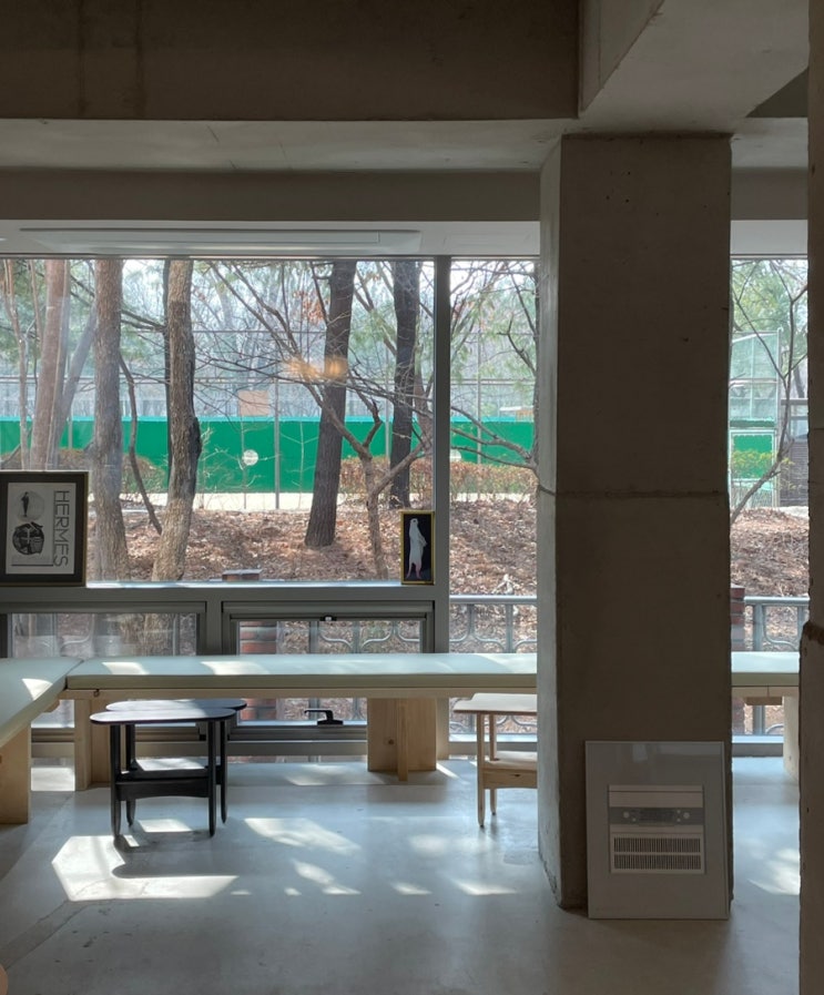  [서울숲] 나무가 보이는 감각적인 신상 카페 | 플래드 카페 PLAD Cafe