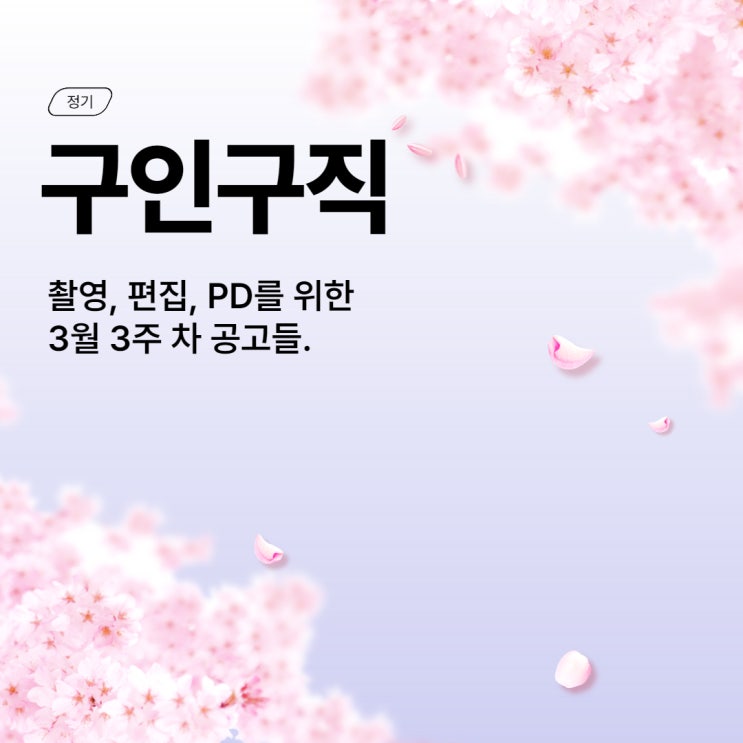  [구인구직] 3월 3주 차 촬영/편집/PD 공고 (+공모전)