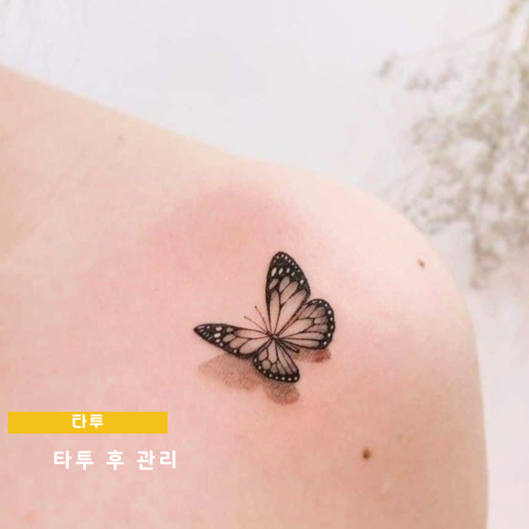 타투후관리 이걸로 끝 타투후관리 이걸로 끝