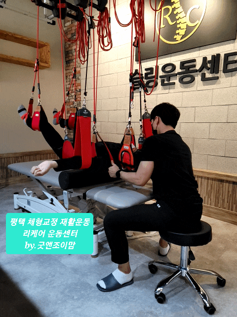 리케어 체형교정 재활운동센터_소사벌 1대1 맞춤운동 평택 슬링운동 허리디스크 목디스크 재활운동 치료운동 내돈내산 리케어 체형교정 재활운동센터_소사벌 1대1 맞춤운동 평택 슬링운동 허리디스크 목디스크 재활운동 치료운동 내돈내산