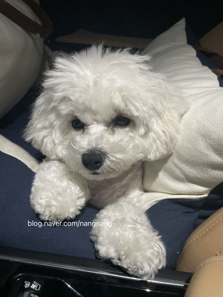  202303첫째주기록)다이어트하면서 입터지고 핫플다니는 일상