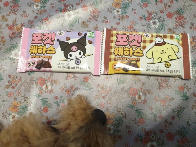 GS25신상 서주 포켓 웨하스 초코