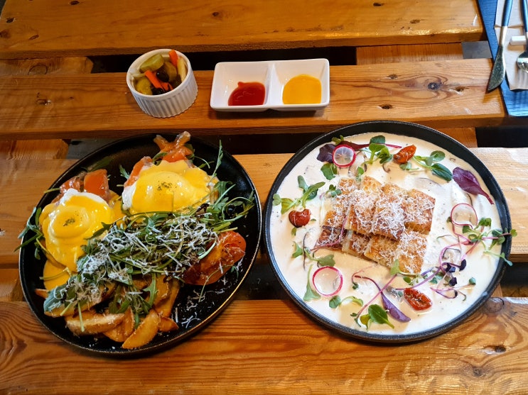 남양주 애견동반 식당 플랜트202 강아지랑 편하게 밥먹기
