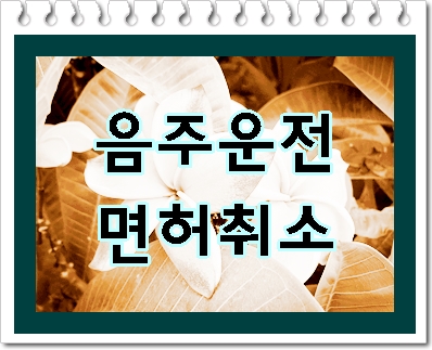  고양 음주운전 면허취소라면 해야 할 일