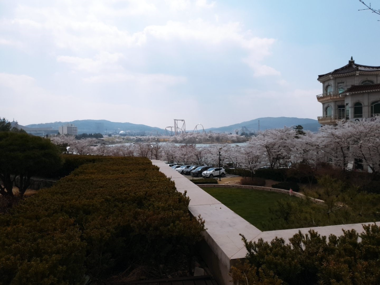  2023.03.09 날씨 흐림 추첨탈락 그리고 감자탕