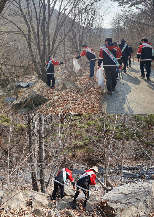 충주국유림관리소, 백두대간 숲사랑 운동 공동 캠페인 실시