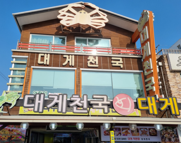  [영덕대게맛집] 영덕 강구항에서 배터지게 먹고온 대게천국