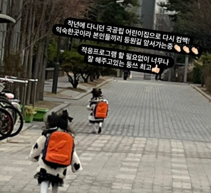 '최민환' 율희, 삼남매 교육비 800만원 고백 후..."국공립 어린이집으로 다시 컴백" '최민환' 율희, 삼남매 교육비 800만원 고백 후..."국공립 어린이집으로 다시 컴백"