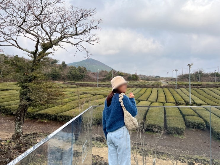  칼린 코지백 가방 구름백 베이지 내돈내산