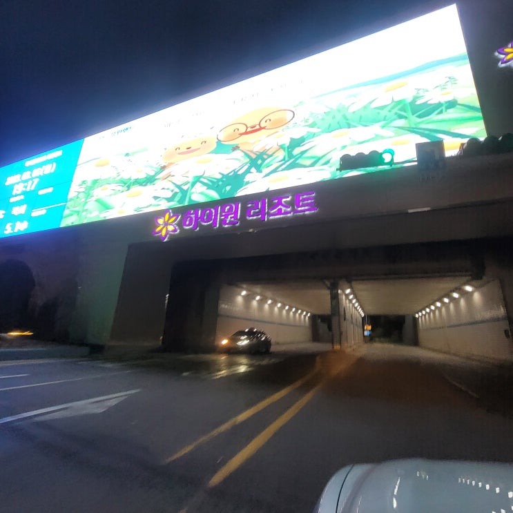 에콜리안정선cc 라운딩후 숙소인 하이원리조트 마운틴콘도로 고고~ "오디주"먹어야 되요 에콜리안정선cc 라운딩후 숙소인 하이원리조트 마운틴콘도로 고고~ "오디주"먹어야 되요