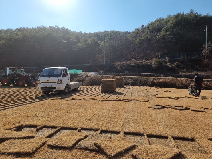  산소잔디 조경석 마대자루에 담아서 편해요