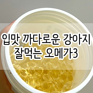 벳액티브8 강아지 오메가3 정착했어요