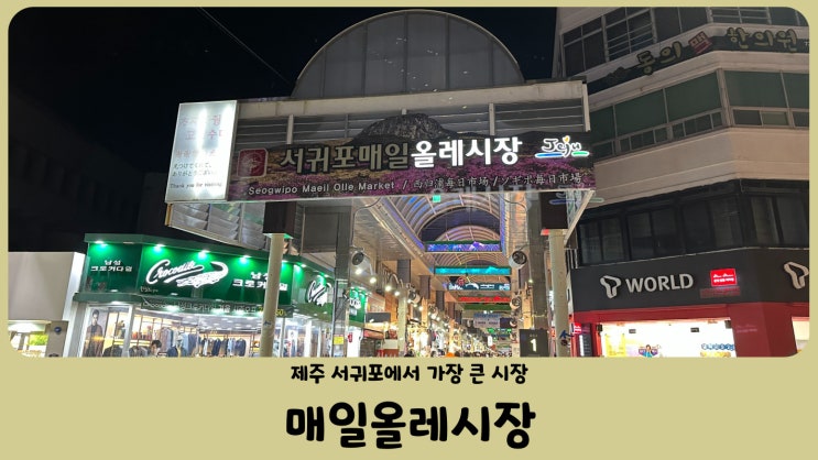  제주 서귀포 올레시장 야시장 먹거리 (회포장, 딱새우회, 전복김밥, 흑돼지 육포)