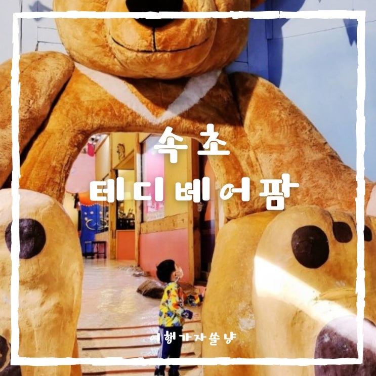  속초갈만한곳 아이와 가기 좋은 강원도 속초여행코스 실내박물관 테디베어팜