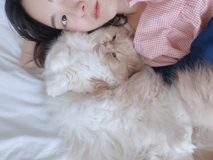  2월 3월 몰아쓰는 일기