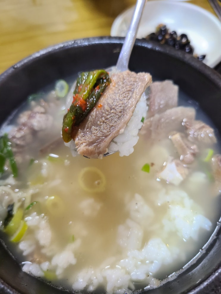  여수 해장국 맛집 유정해장국 이순신광장 주변 로컬맛집