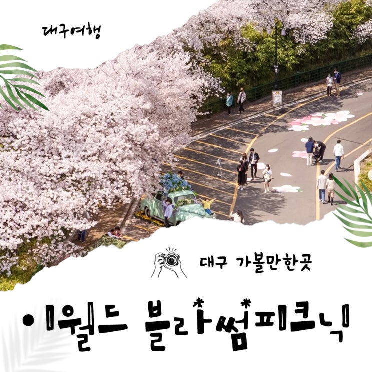대구 가볼만한곳 2023 이월드 블라썸 피크닉 벚꽃축제 정보 개화시기