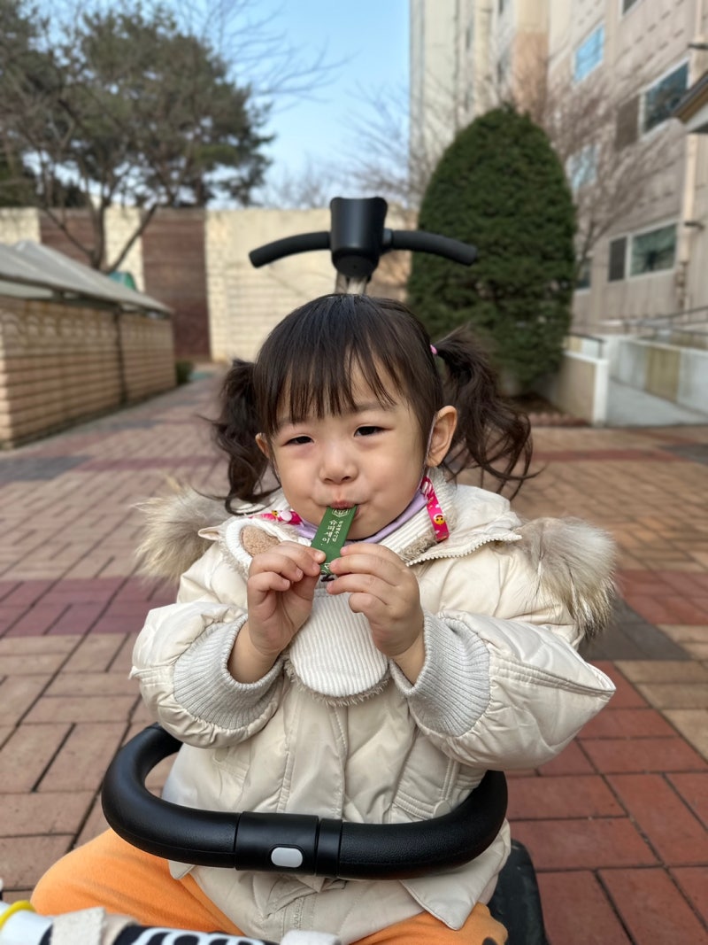 유아비염 곰보배추 효능을 잘 확인하시고 가져가세요