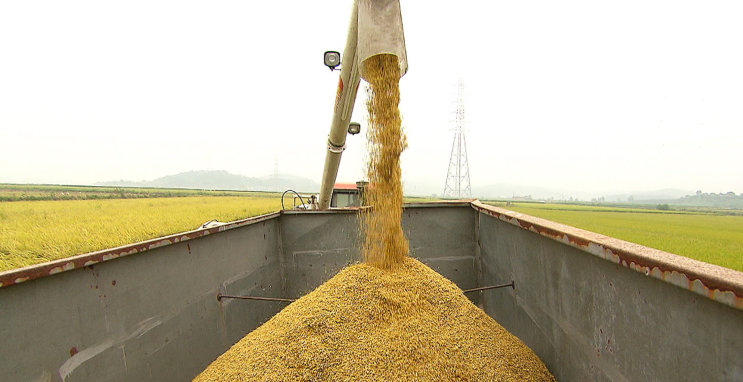 쌀값에만 올인하는 양곡관리법, 답이 아닌 이유