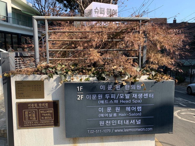 강남탈모병원 :: 여자원형탈모 두피관리 이문원한의원