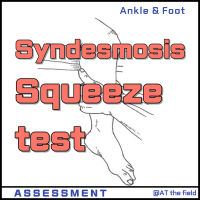 Squeeze test / syndesmosis injury,Stress fracture test / High ankle sprain, 경비인대결합 검사, 경비골 골간막, 경골골절