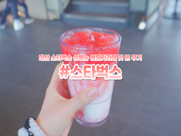  마산 어시장 카페 스타벅스 신메뉴 봄딸기라떼, 라일락 블라썸 티