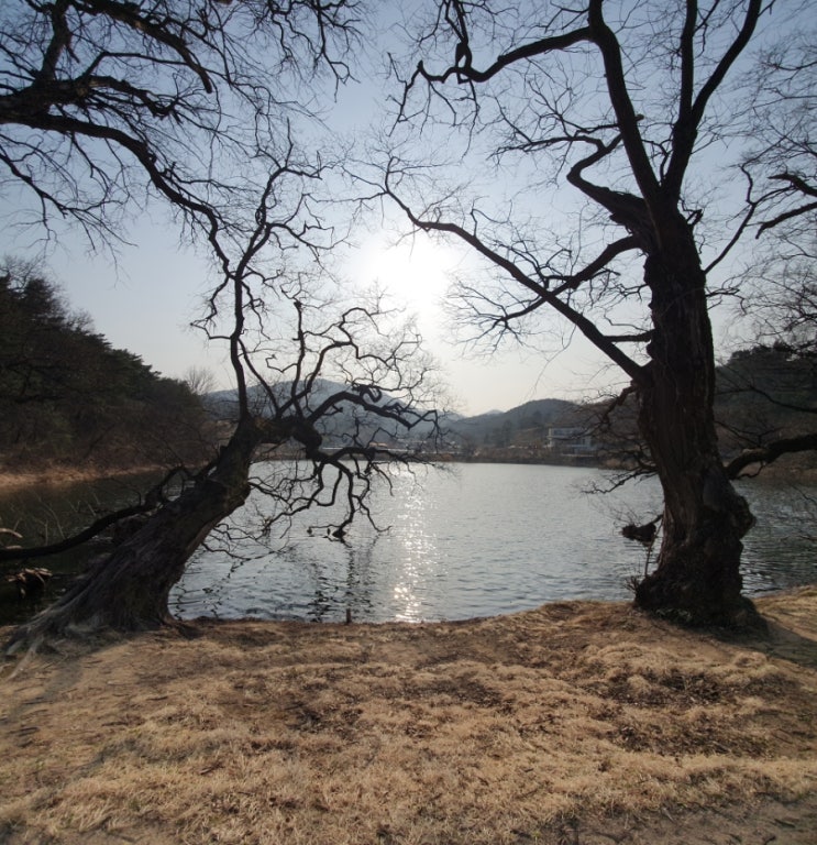  3월 일상 끄적이기