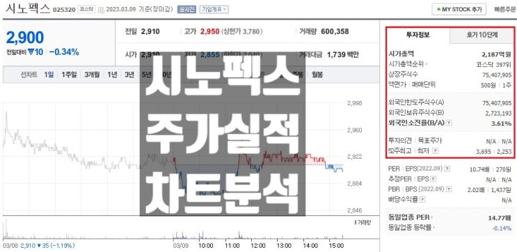 핵폐기물 관련주 시노펙스 주가 전망 집중 분석