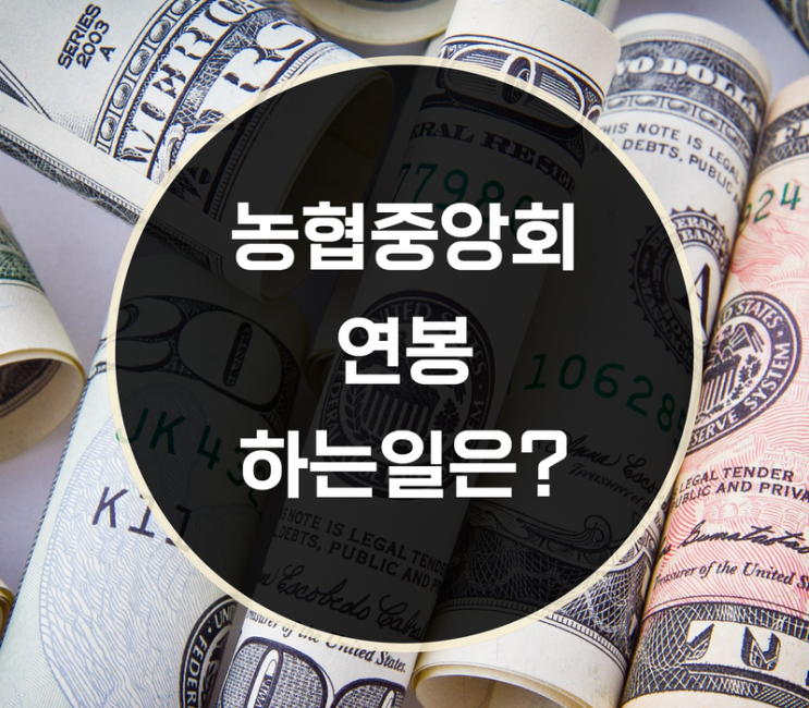  농협중앙회 하는일 연봉은?