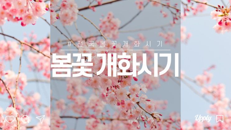  전국 봄꽃 개화시기 개나리 진달래 벚꽃