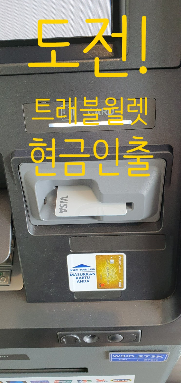  트래블월렛 : 발리영어캠프 준비하기