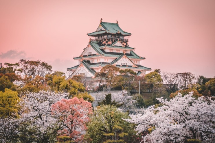 일본 벚꽃 개화시기 일본여행 도쿄 오사카 나고야 후쿠오카 삿포로 벚꽃축제
