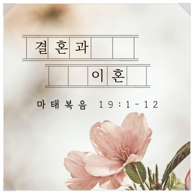  [매일성경QT] 마태복음 19:1-12 (결혼과 이혼)
