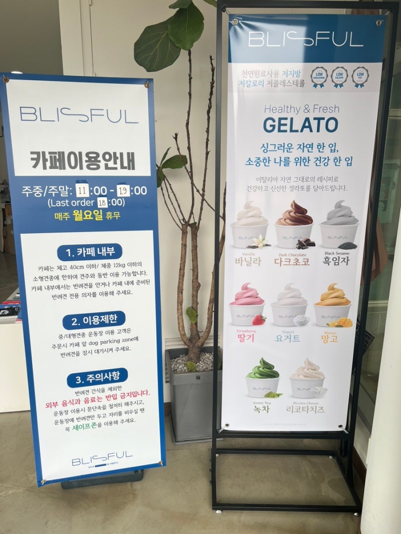 사진 5